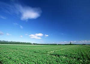 富士市厚原にある高級感あふれる葬儀場「富士葬祭 富士鷹岡」の特徴と最新情報